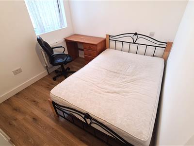 Picture 16